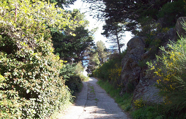 vista actual del camino de ingreso
