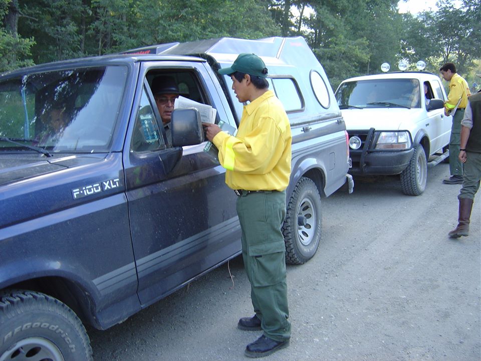 parque lanin 6