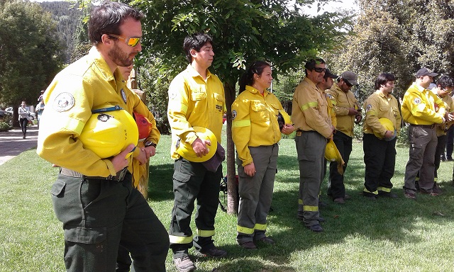 combatientes-1