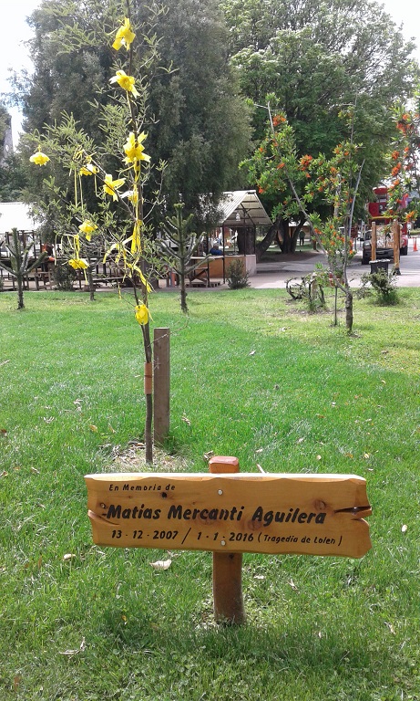 parques-matias