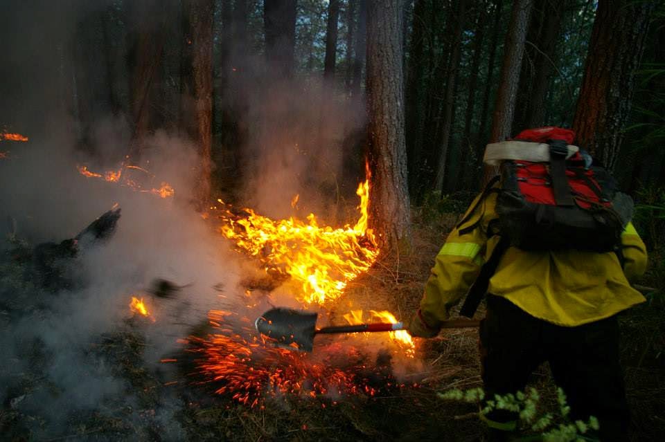 ICE INCENDIOS