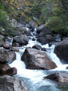 ARROYO