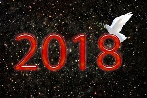 año 2018