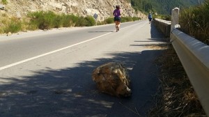 piedra con chica corriendo