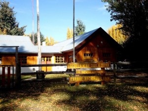 quila quina ahoraescuela-n-33-quila-quina