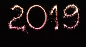 año 2019