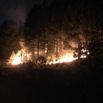 incendio en meliquina