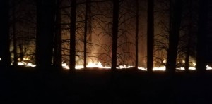 incendio en meqliquina 3