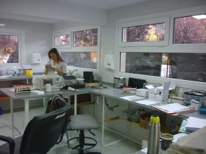 hospi lab 2