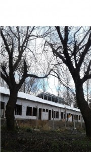 jardin 53 de costado