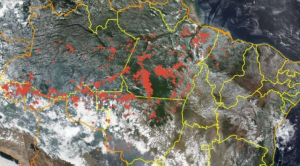 incendio amazonas