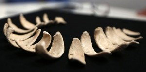 collar