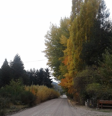 otoño 2020 gingins