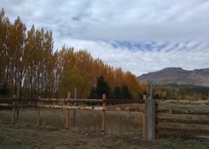 otoño2020 vicki tranquera