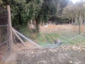 bici ROBO-PREDIO-guardias-ambientales-760x570