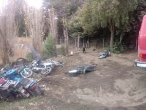 bici robo predio 2