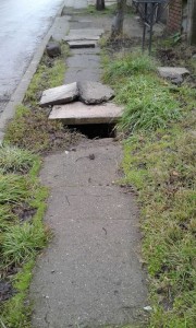 vereda rota 3